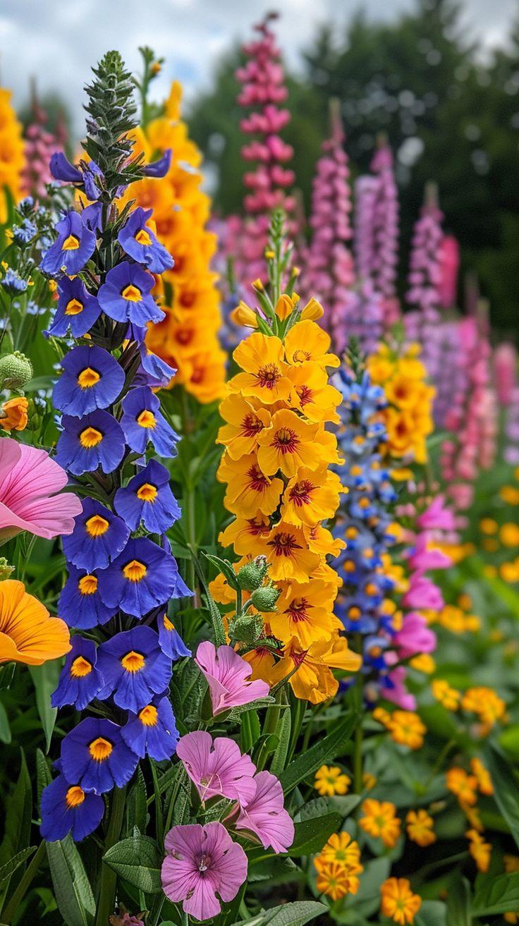 Whispering Meadow: A Serene Floral Ensemble